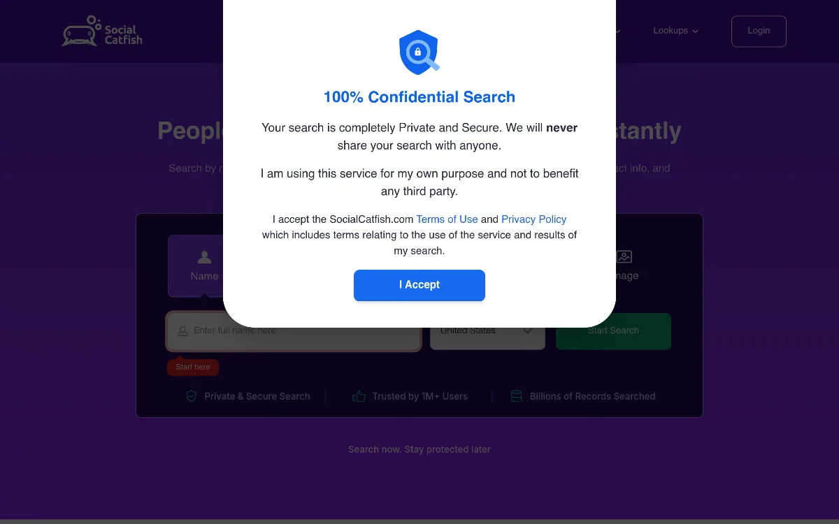 Social Catfish tool dashboard interface screenshot 1